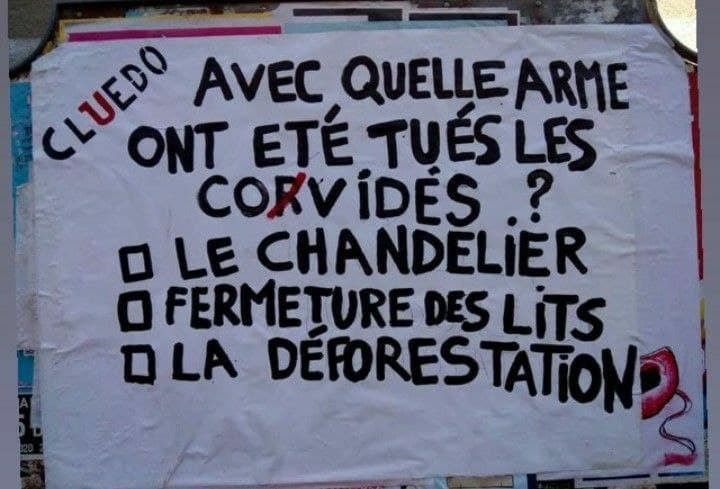 Collage sur panneau d'affichage. Texte : "Cluedo. Avec quels arme ont été tués les covidés ? Le chandelier, Fermeture des lits, la déforestation"