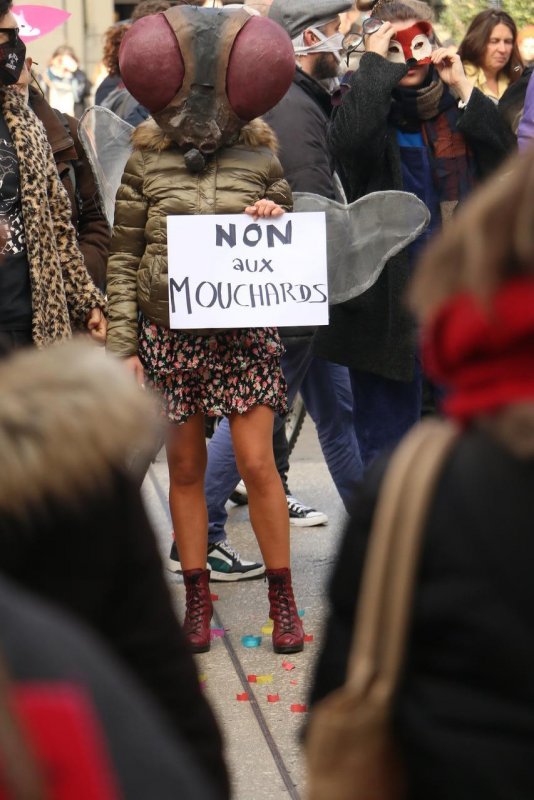 Photo de Dijoncter :
Une femme déguisée en mouche portant une pancarte "Non aux mouchards".