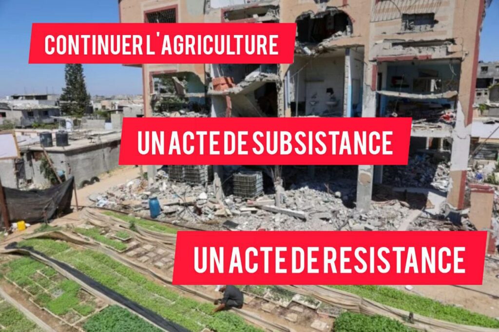 Photo d'un bâtiment détruit devant lequel un homme s'occupe d'un potager. Texte :"Continuer l'agriculture, un acte de subsistance, un acte de résistance". 