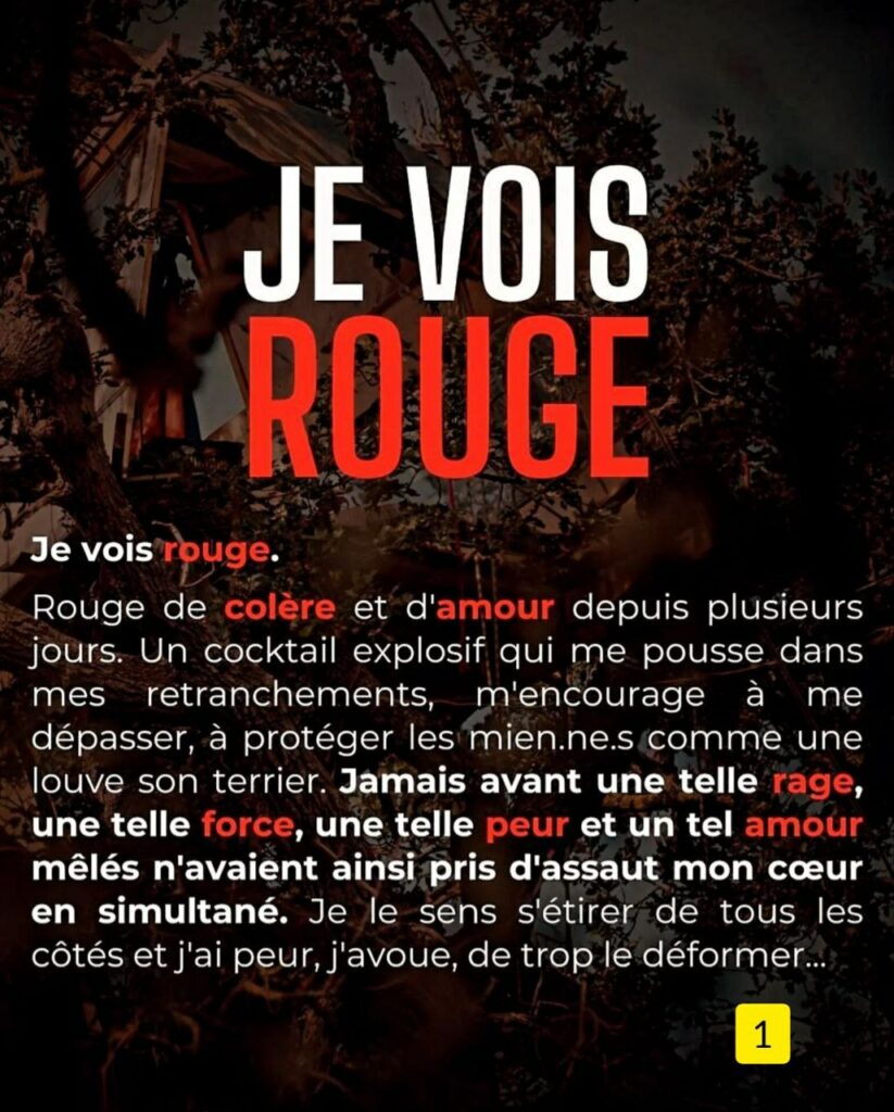 Alr 1
Texte blanc et rouge sur fond noir:

JE VOIS ROUGE
Je vois rouge: Rouge de colère et d'amour depuis plusieurs jours. Un cocktail explosif qui me pousse dans mes retranchements, m'encourage à me dépasser, à protéger les mien.ne.s comme une louve son terrier. Jamais avant une telle rage, une telle force, une telle peur et un tel amour mêlés n'avaient ainsi pris d'assaut mon cœur en simultané. Je le sens s'étirer de tous les côtés et j'ai peur, j'avoue, de trop le déformer.