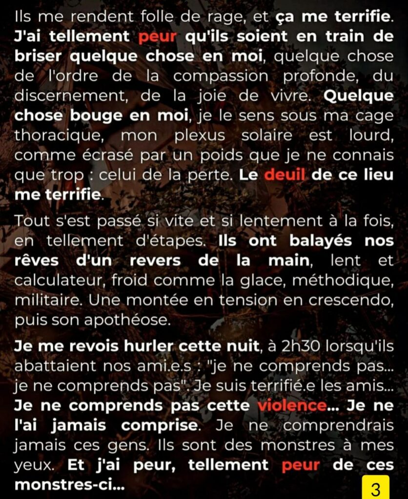 Alt 3
Ils me rendent folle de rage, et ça me terrifie J'ai tellement peur qu'ils soient en train de briser quelque chose en moi, quelque chose de l'ordre de la compassion profonde, du discernement, de la joie de vivre. Quelque chose bouge en moi, je le sens sous ma cage thoracique, mon plexus solaire est lourd comme écrasé par un poids que je ne connais que trop : celui de la perte. Le deuil de ce lieu me terrifie Tout s'est passé si vite et si lentement à la fois, en tellement d'étapes. Ils ont balayé nos rêves d'un revers de la main, lent et calculateur, froid comme la glace, méthodique, militaire. Une montée en tension en crescendo puis son apothéose Je me revois hurler cette nuit, à 2h30 lorsqu'ils abattaient nos ami.e.s : "je ne comprends pas.. je ne comprends pas". Je suis terrifié.e les amis. Je ne comprends pas cette violence... Je ne l'ai jamais comprise. Je ne comprendrai jamais ces gens. Ils sont des monstres à mes yeux. Et j'ai peur, tellement peur de ces monstres-ci...