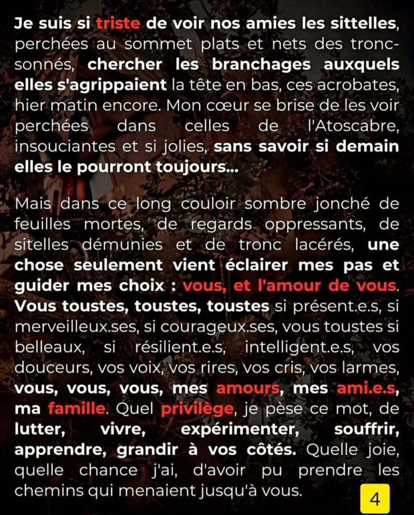 Alt 4
Je suis si triste de voir nos amies les sittelles perchées au sommet plat et net des tronc-sonnés, chercher les branchages auxquels elles s'agrippaient la tête en bas, ces acrobates, hier matin encore. Mon cœur se brise de les voir perchées dans celles de l'Atoscabre insouciantes et si jolies, sans savoir si demain elles le pourront toujours...
 Mais dans ce long couloir sombre jonché de feuilles mortes, `de regards oppressants, de sitelles démunies et de tronc lacérés, une chose seulement vient éclairer mes pas et guider mes choix : vous, et l'amour de vous. Vous toustes, toustes, toustes si présent.e.s, si merveilleux.ses, si courageux.ses, vous toustes si belleaux, si ésilient.e.s, ntelligent.e.s, Vos douceurs, vos voix, vos rires, vos cris, vos larmes vous, vous, vous, mes amours, mes ami.e.s, ma famille. Quel privilège, je pèse ce mot, de lutter, vivre, expérimenter, souffrir, apprendre, grandir à vos côtés. Quelle joie, quelle chance j'ai, d'avoir pu prendre les chemins qui menaient jusqu'à vous.